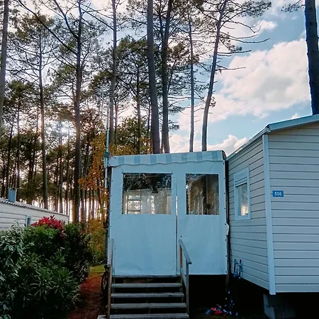 Contis- Ocean Saint-Julien-en-Born