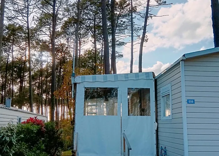 Contis- Ocean Saint-Julien-en-Born